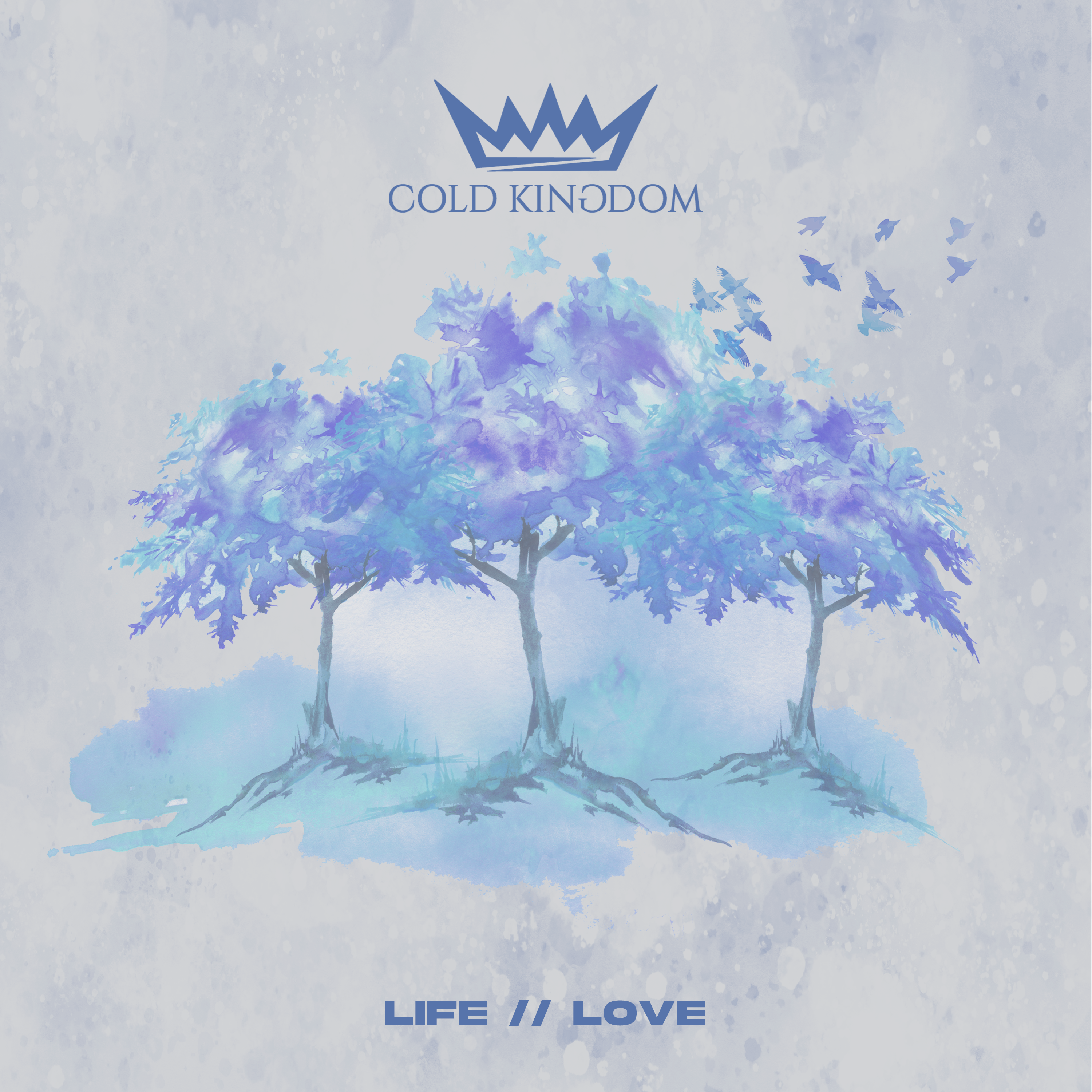 Cold Kingdom New Releases